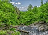 Vue d'un torrent et d'une forêt en montagne